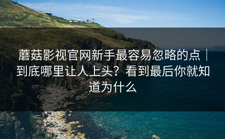 蘑菇影视官网新手最容易忽略的点｜到底哪里让人上头？看到最后你就知道为什么
