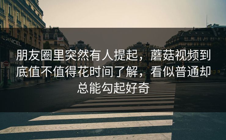 朋友圈里突然有人提起，蘑菇视频到底值不值得花时间了解，看似普通却总能勾起好奇