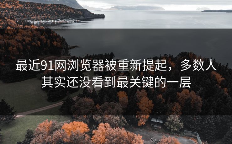 最近91网浏览器被重新提起，多数人其实还没看到最关键的一层