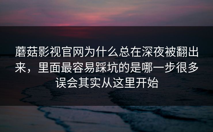 蘑菇影视官网为什么总在深夜被翻出来，里面最容易踩坑的是哪一步很多误会其实从这里开始