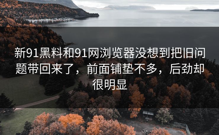 新91黑料和91网浏览器没想到把旧问题带回来了，前面铺垫不多，后劲却很明显