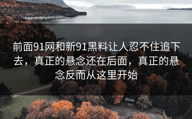 前面91网和新91黑料让人忍不住追下去，真正的悬念还在后面，真正的悬念反而从这里开始