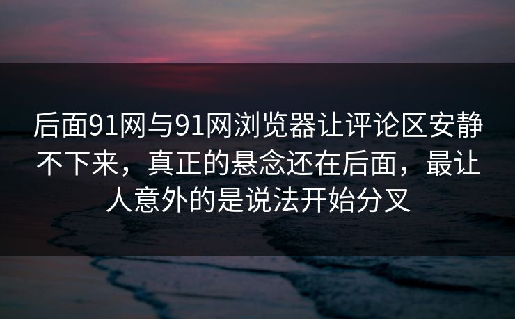 后面91网与91网浏览器让评论区安静不下来，真正的悬念还在后面，最让人意外的是说法开始分叉