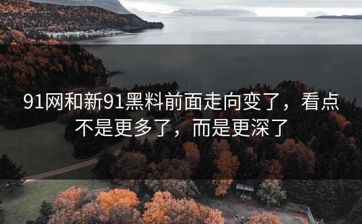 91网和新91黑料前面走向变了,看点不是更多了,而是更深了 91网和新91黑料前面走向变了,看点不是更多了,而是更深了